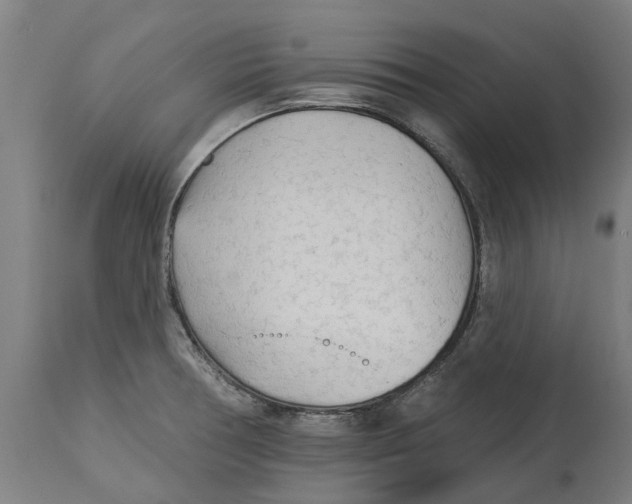 X0000114401378200911131356