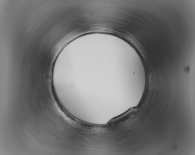 X0000114401379200911131356