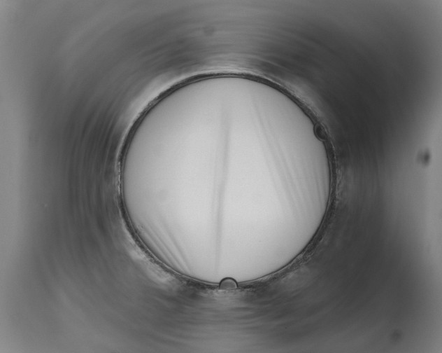 X0000114401380200911131356