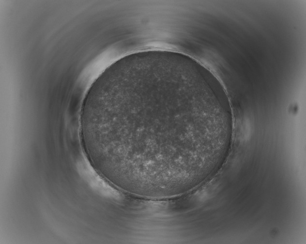 X0000114401381200911131356