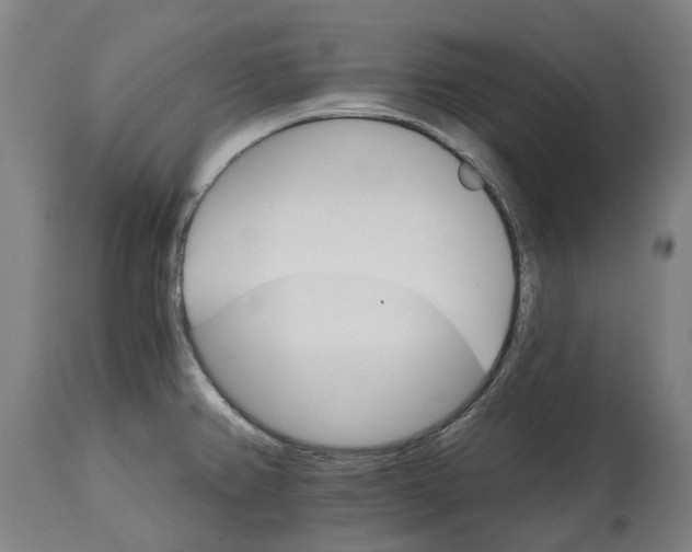 X0000114401382200911131356