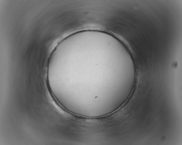 X0000114401383200911131356