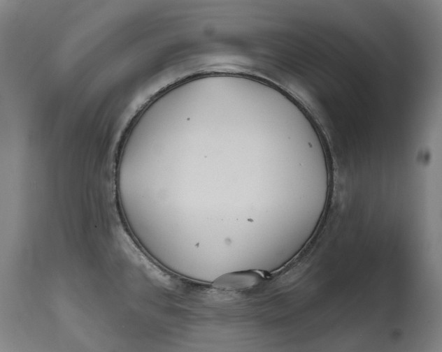 X0000114401384200911131356