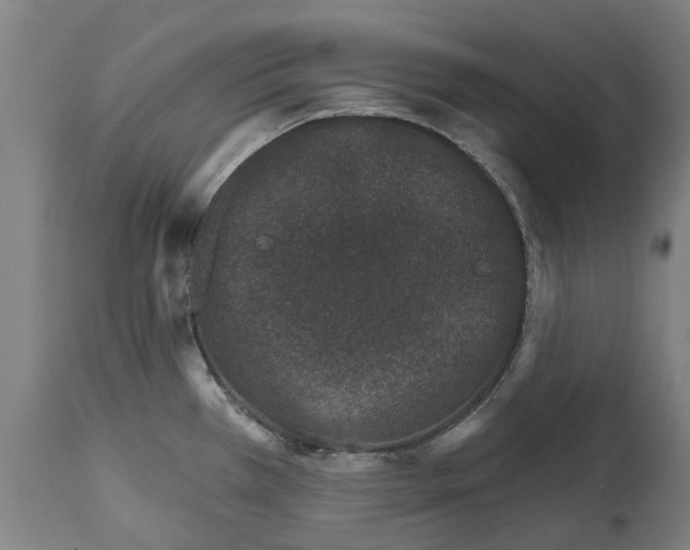 X0000114401385200911131356