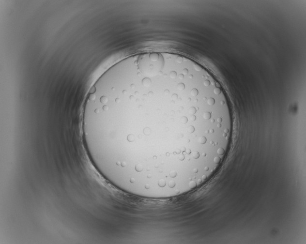 X0000114401386200911131356