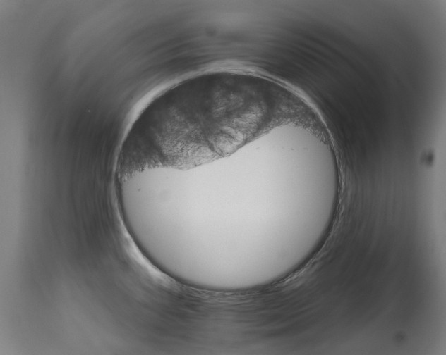 X0000114401387200911131356