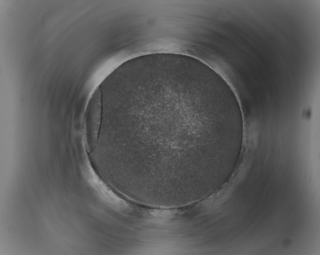 X0000114401389200911131356