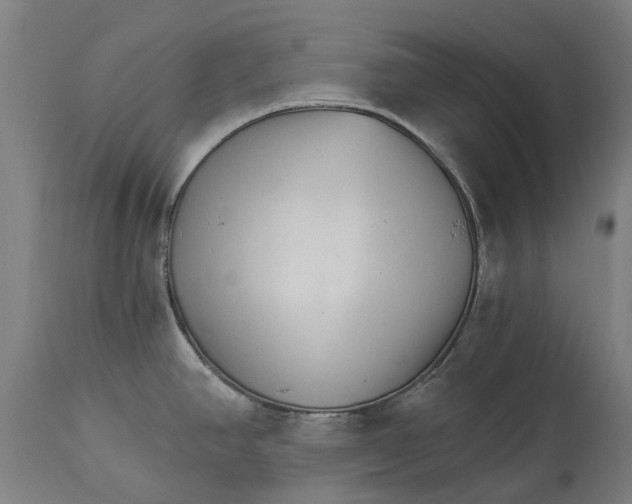 X0000114401390200911131356