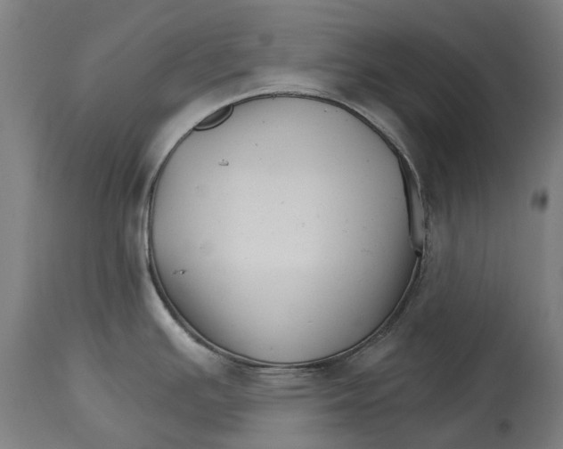 X0000114401391200911131356