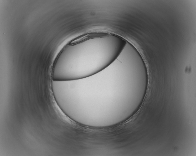 X0000114401392200911131356