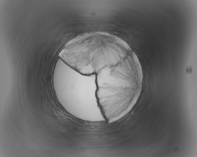 X0000114401393200911131355