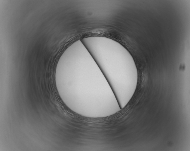 X0000114401394200911131355