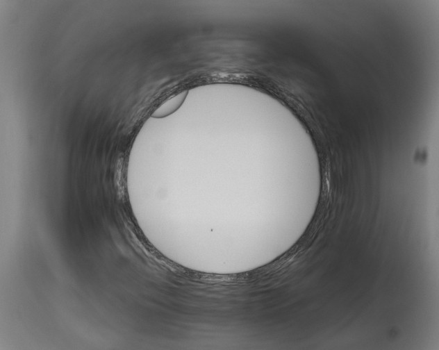 X0000114401396200911131355