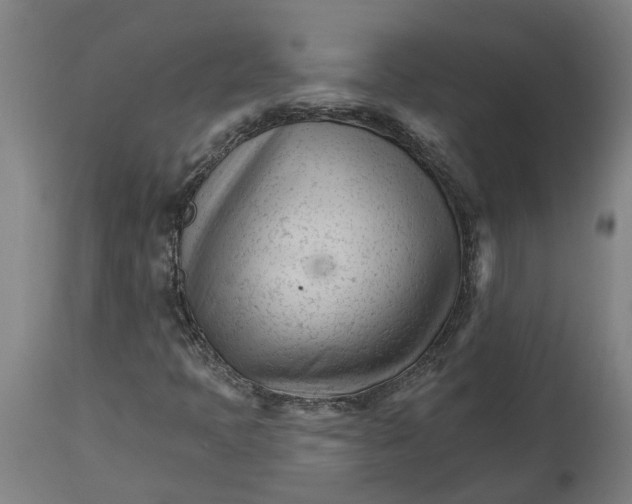 X0000114401397200911131355