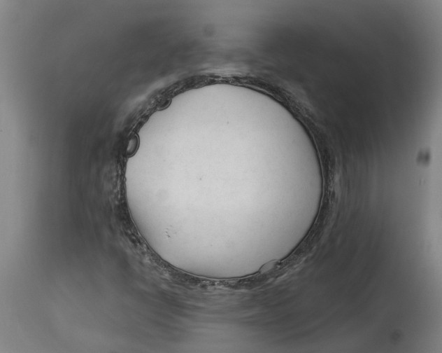 X0000114401398200911131355