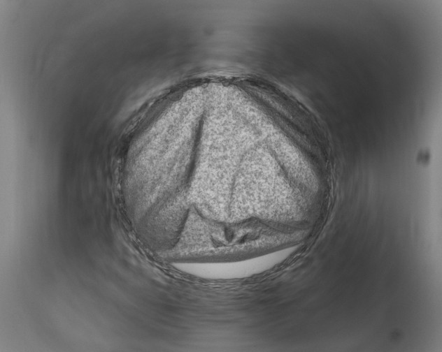 X0000114401399200911131355