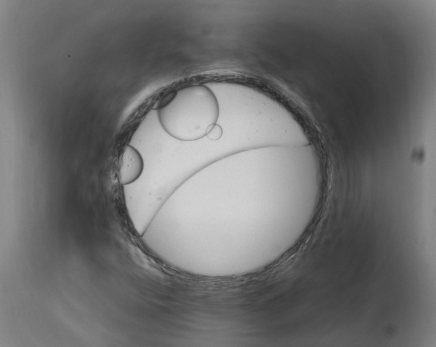 X0000114401400200911131355