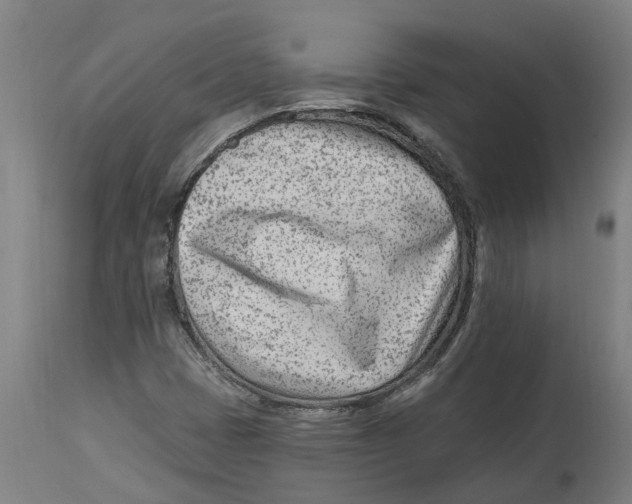 X0000114401401200911131355