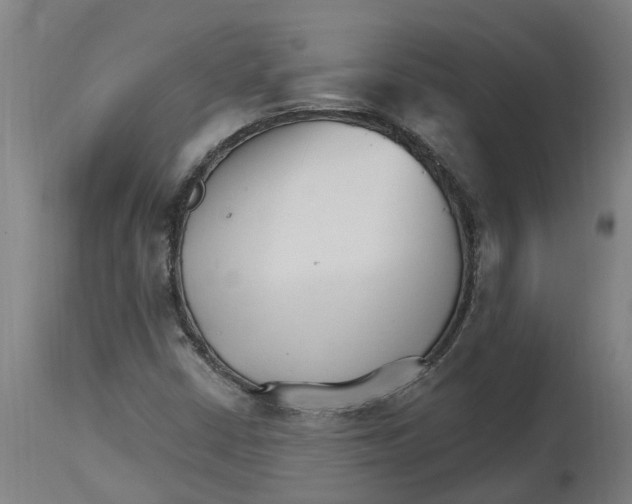 X0000114401402200911131355