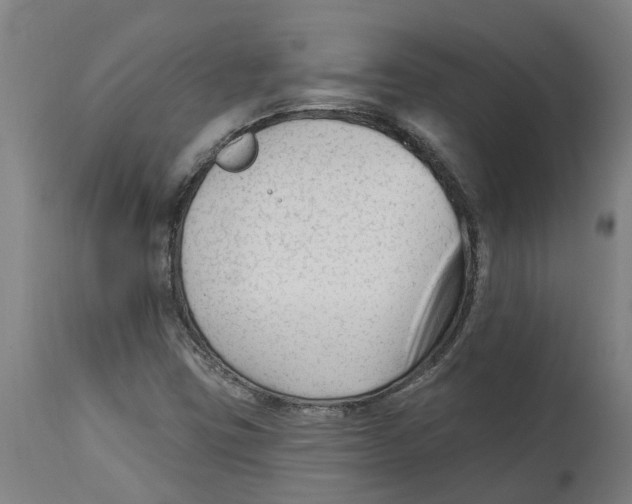 X0000114401403200911131355