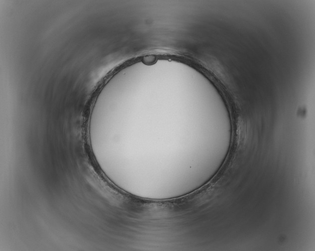 X0000114401404200911131355