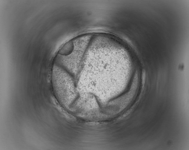 X0000114401405200911131355