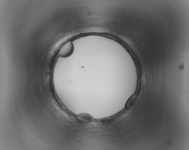 X0000114401406200911131355