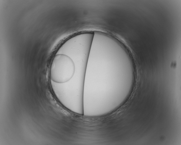 X0000114401408200911131355