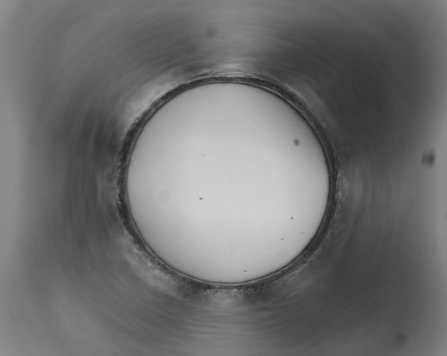 X0000114401410200911131355