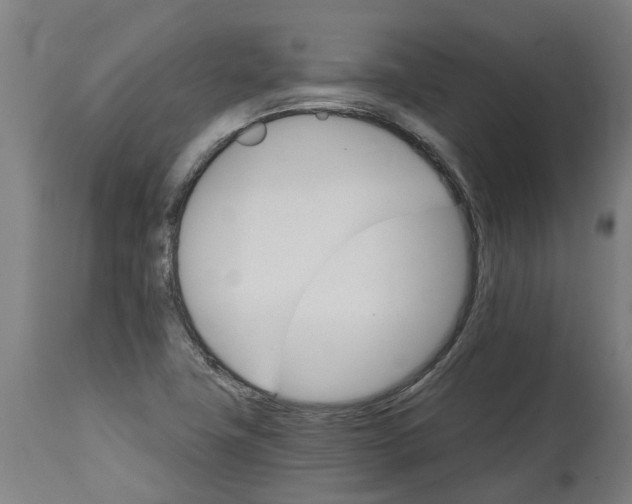 X0000114401411200911131355