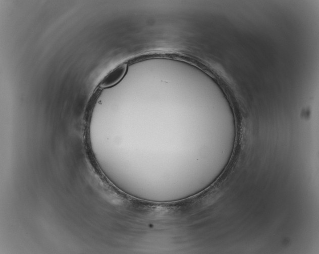 X0000114401412200911131355