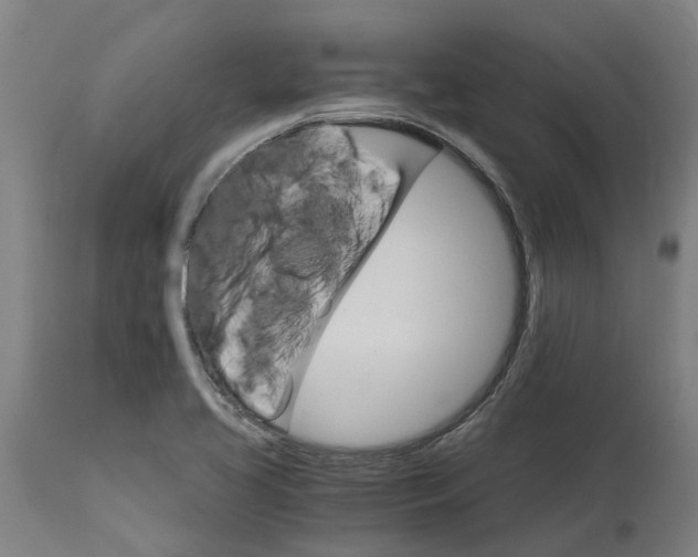 X0000114401413200911131355