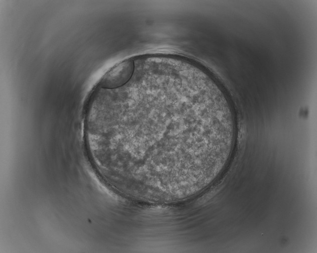 X0000114401414200911131355