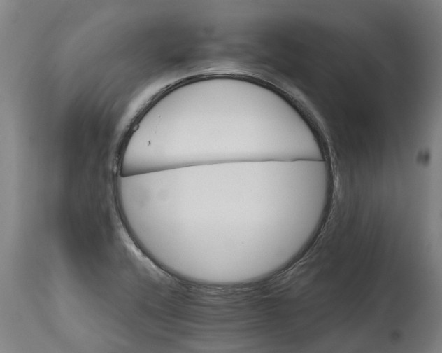 X0000114401416200911131355