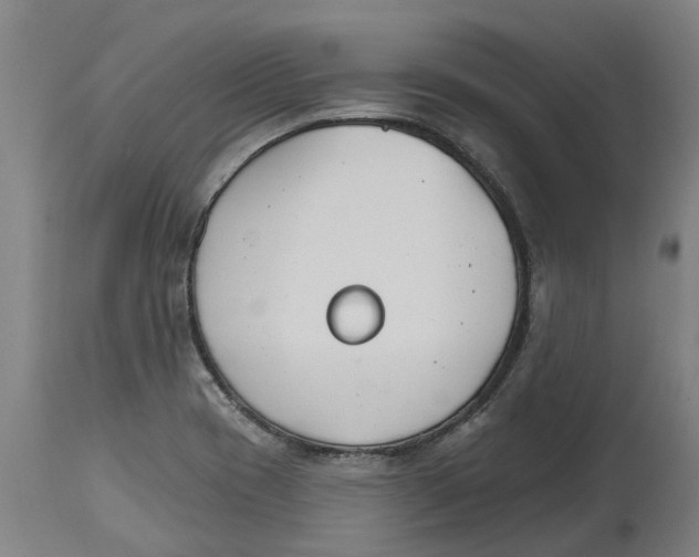 X0000114401417200911131355