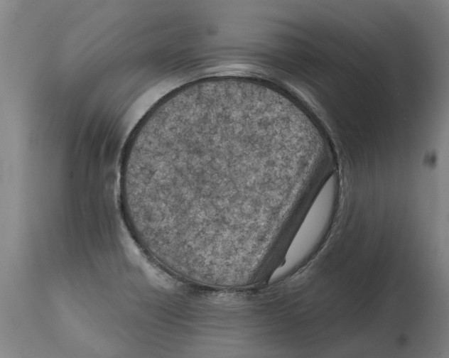 X0000114401418200911131355