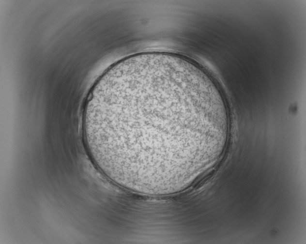 X0000114401419200911131355