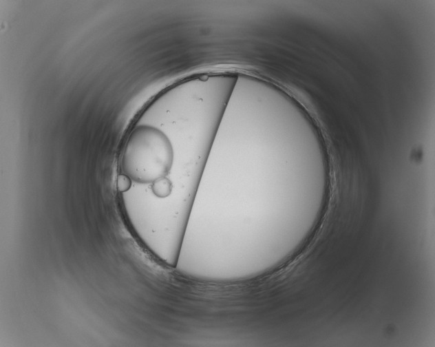 X0000114401420200911131355