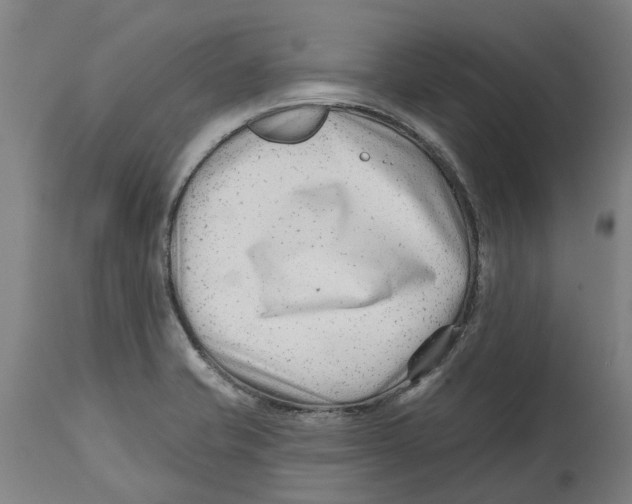 X0000114401421200911131355