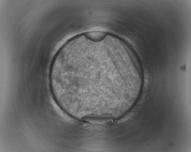 X0000114401422200911131355