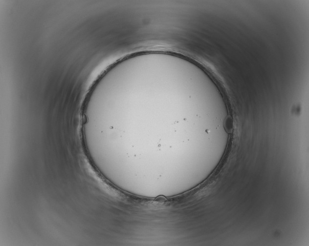 X0000114401424200911131355