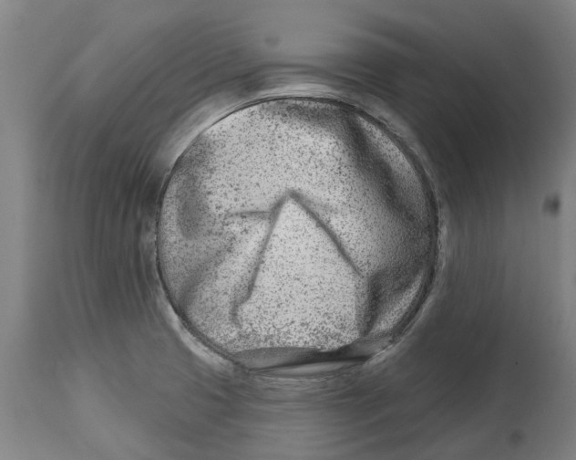 X0000114401425200911131355