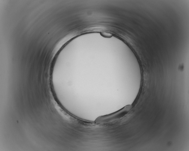 X0000114401426200911131355