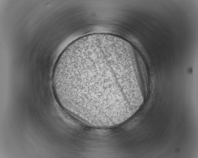 X0000114401427200911131355