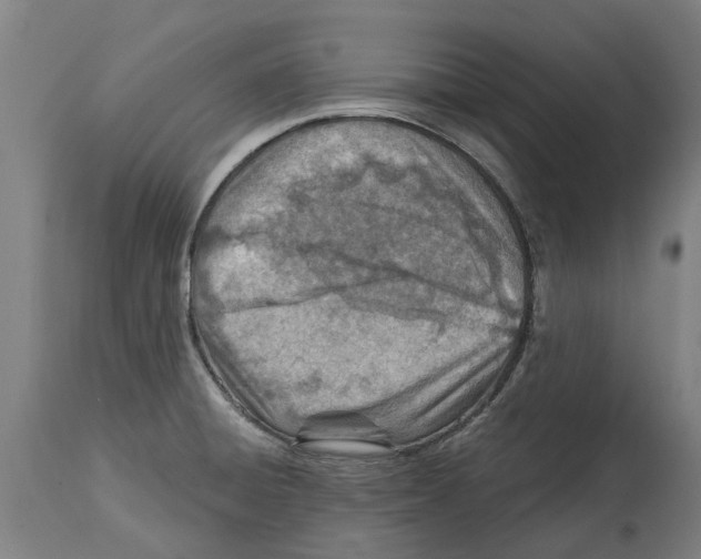 X0000114401428200911131356