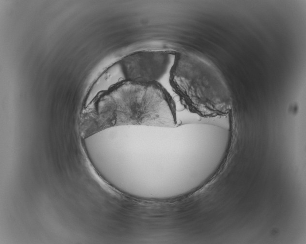 X0000114401429200911131356