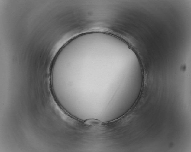 X0000114401430200911131356