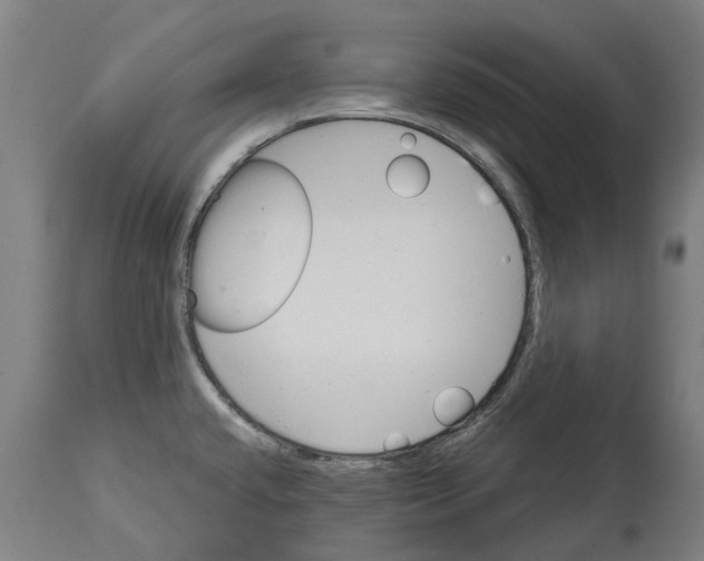 X0000114401432200911131356