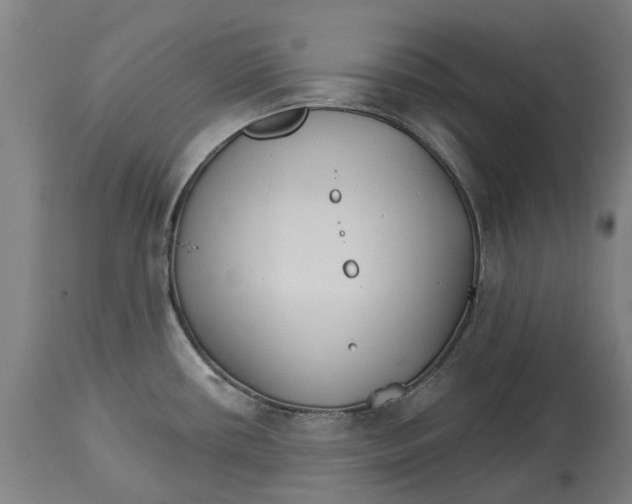 X0000114401434200911131356