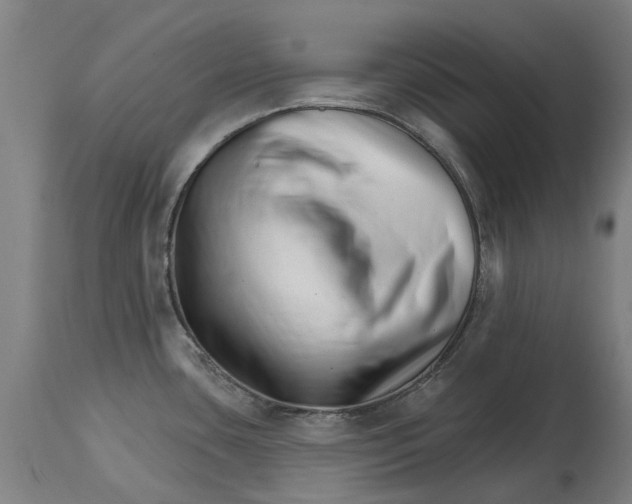 X0000114401435200911131356